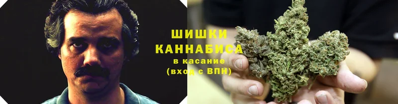 blacksprut как войти  Тайга  Канабис конопля 